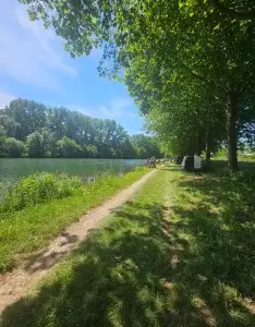 Chemin ombragé longeant la Sèvre à Niort lors d'une balade nature dans le cadre de l'événement Pause natur'elle.